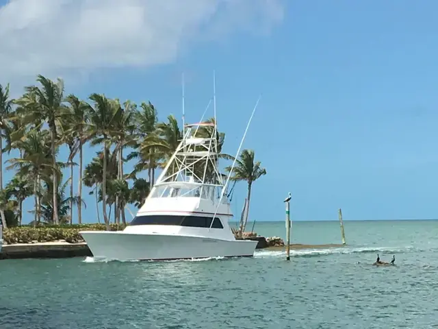 Carolina Skiff Lydia 57 Sportfish