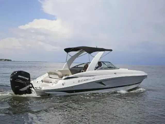 Crownline 290 Xss