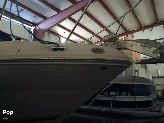 Sea Ray 270 Amberjack