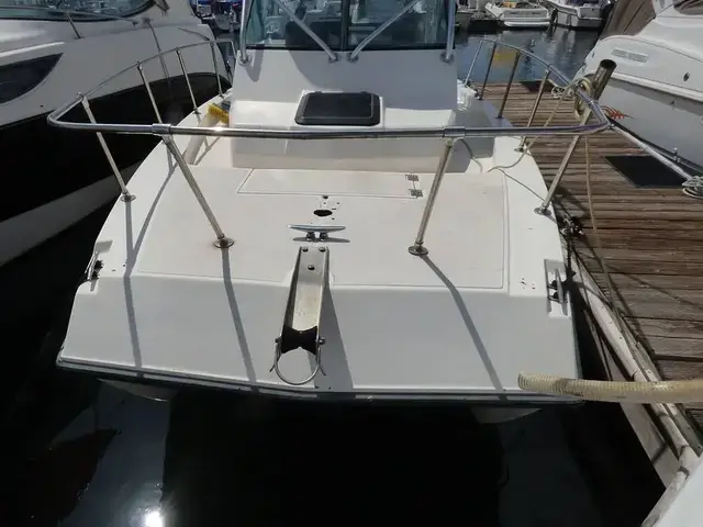 Sea Cat Sl5