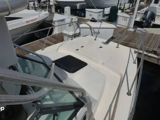 Sea Cat Sl5