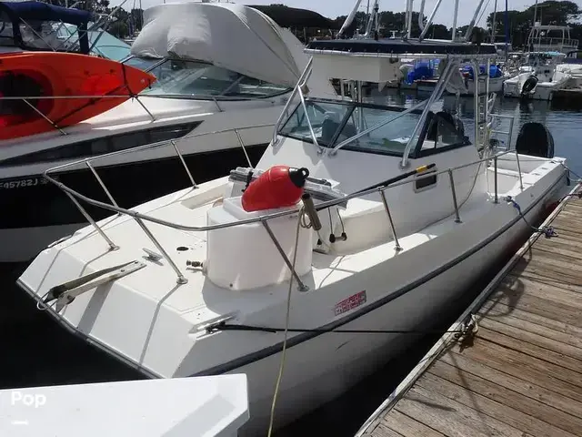 Sea Cat Sl5