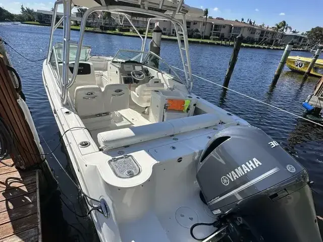 Robalo R247 DC