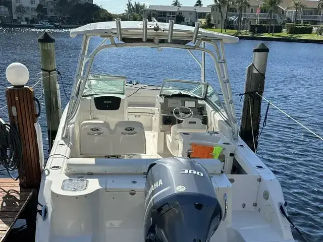 Robalo R247 DC