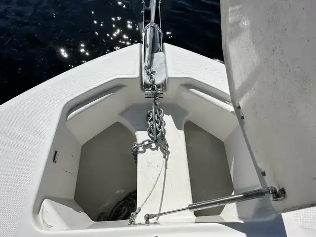 Robalo R247 DC