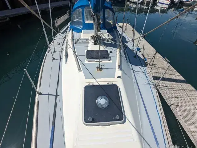 Westerly Tempest 31