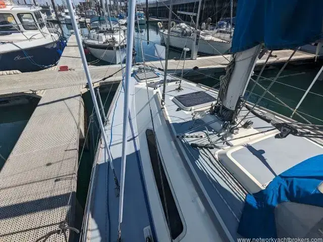 Westerly Tempest 31