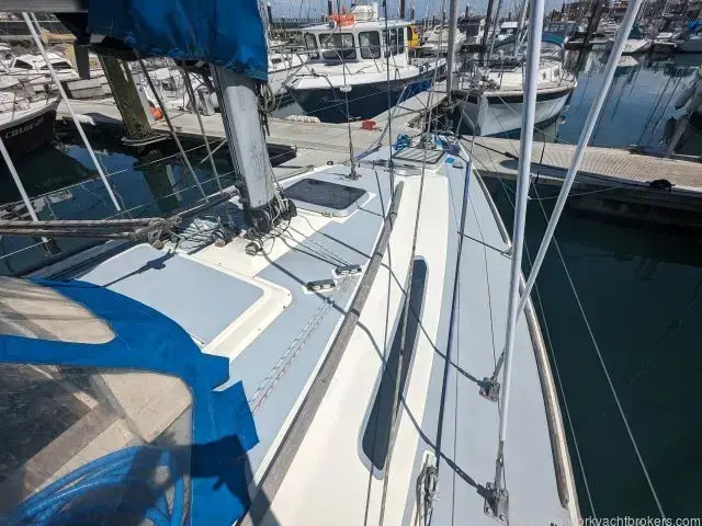 Westerly Tempest 31