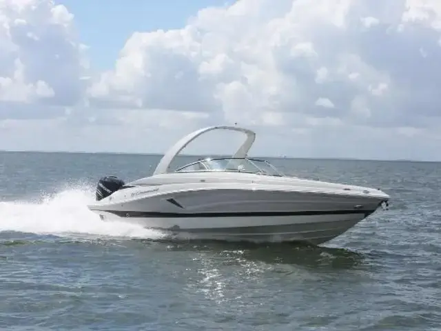 Crownline 290 Xss