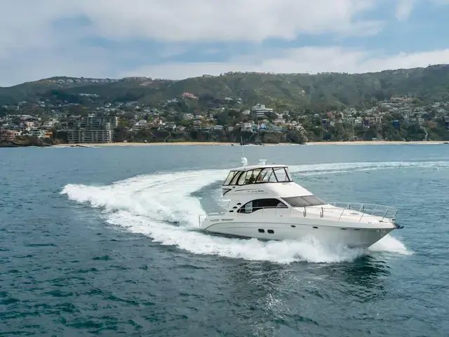 Sea Ray 55'