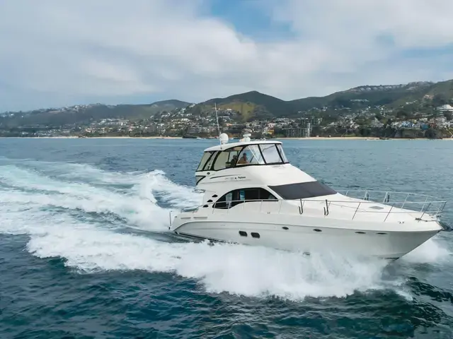 Sea Ray 55'