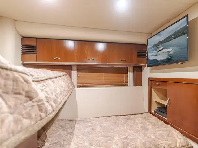 Sea Ray 55'