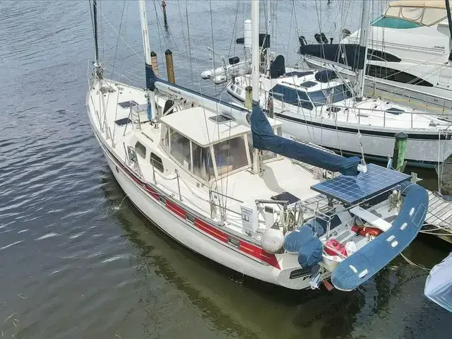 Transpacific TransPac 49