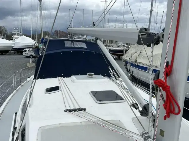 Hunter 44 Ac