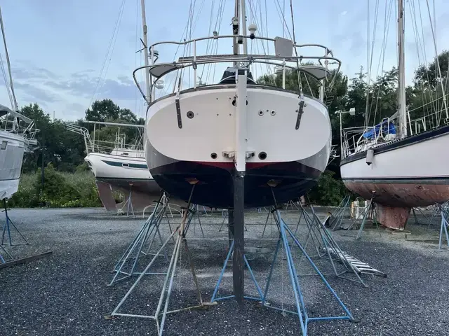 Nebe Shearwater 39