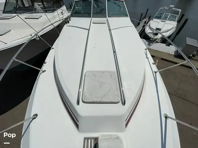 Sea Ray 340