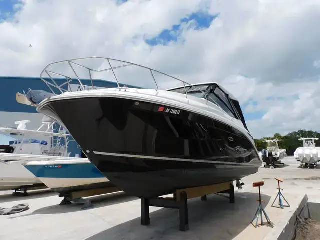 Sea Ray 32