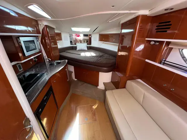 Sea Ray 33