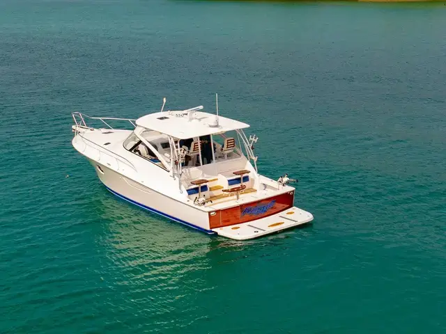 Viking 42'