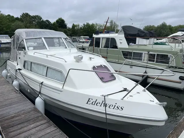 Viking 22