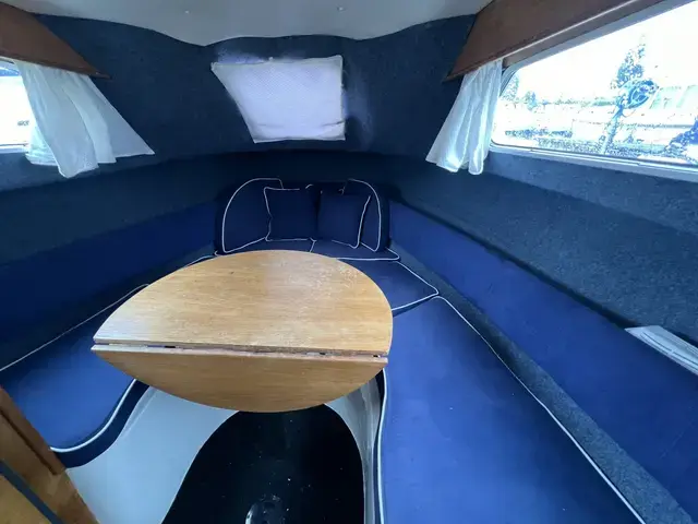 Viking 22