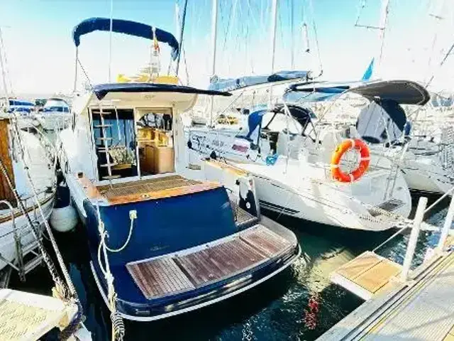 Sessa Dorado 32