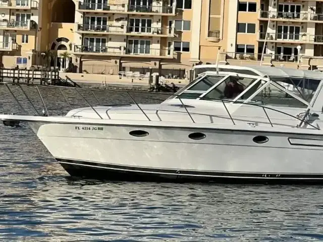 Tiara 31