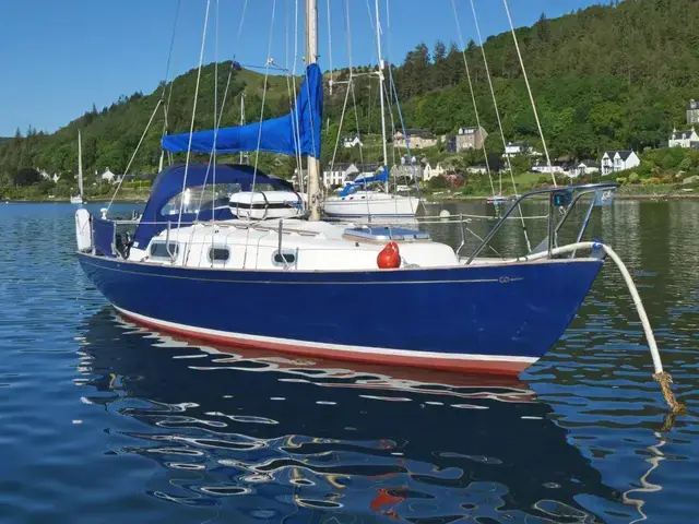 Contessa 26