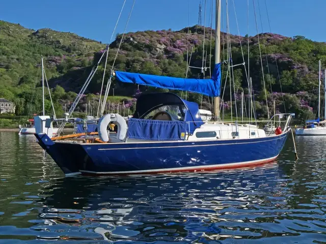 Contessa 26