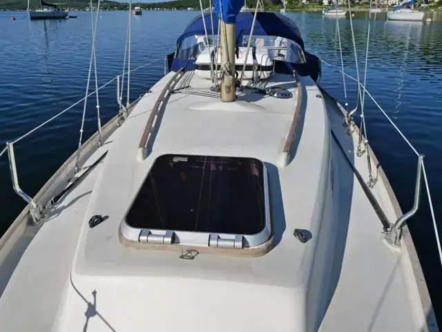 Contessa 26