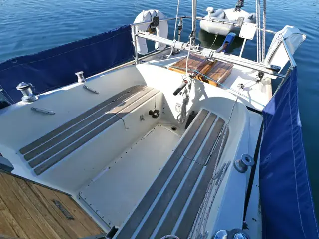 Contessa 26