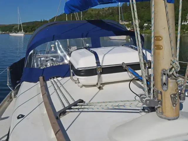 Contessa 26