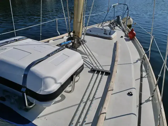 Contessa 26