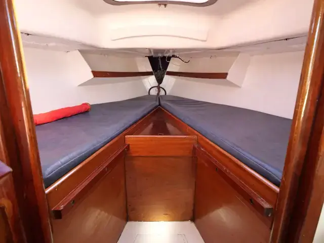 Contessa 26