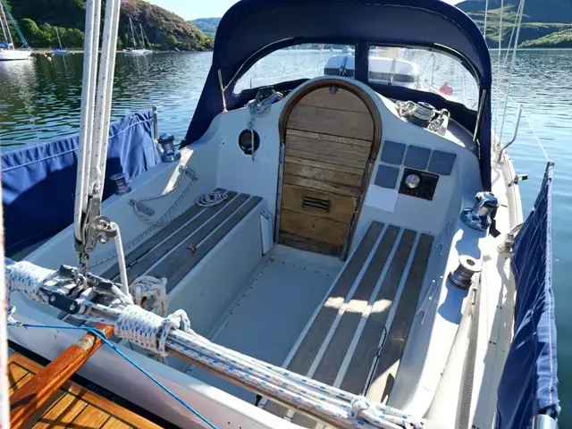 Contessa 26