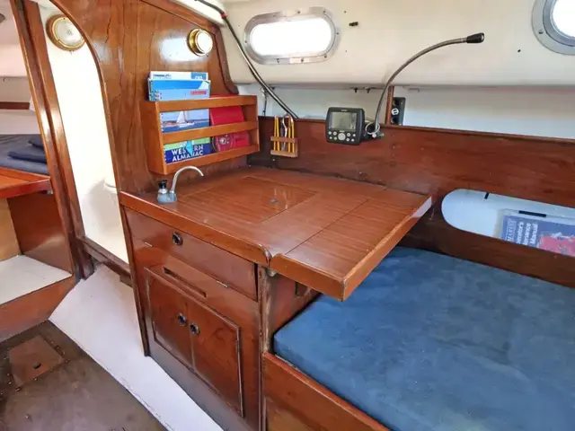 Contessa 26