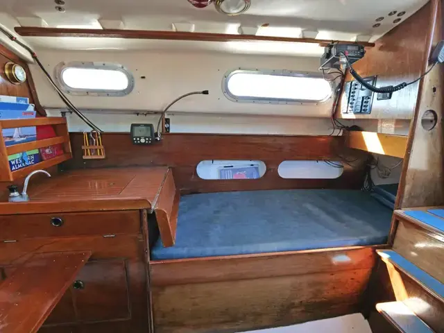 Contessa 26