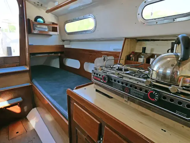 Contessa 26