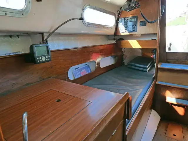 Contessa 26