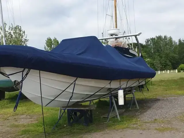 Scorpion Boats Sting RR880 RIB