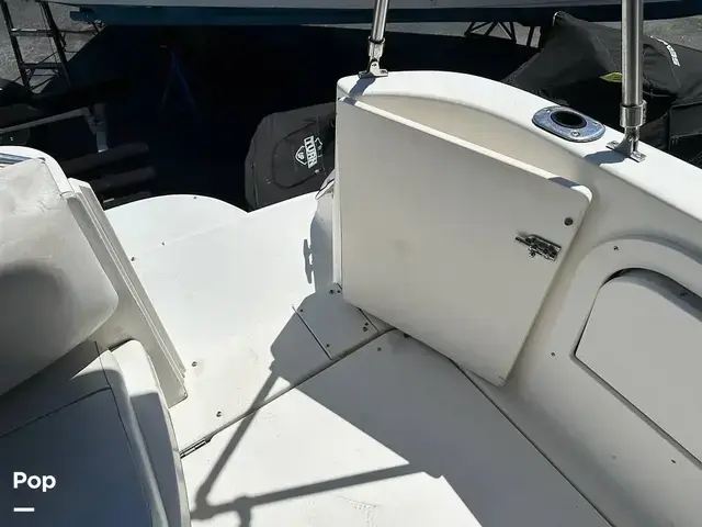 Sea Ray 330 Sundancer