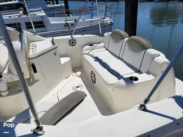 Sea Ray 240 Sundancer