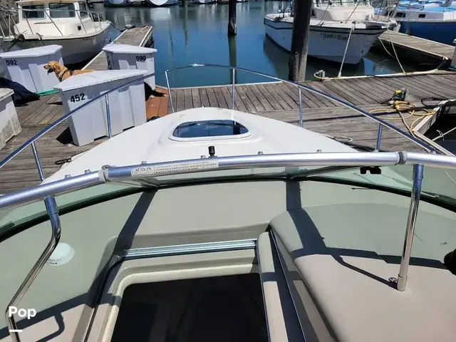 Sea Ray 240 Sundancer