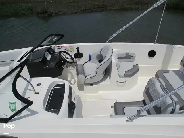 Bayliner Vr6