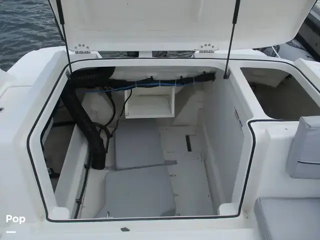 Bayliner Vr6