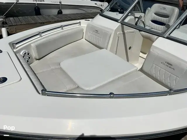 Cobia 220 Dc