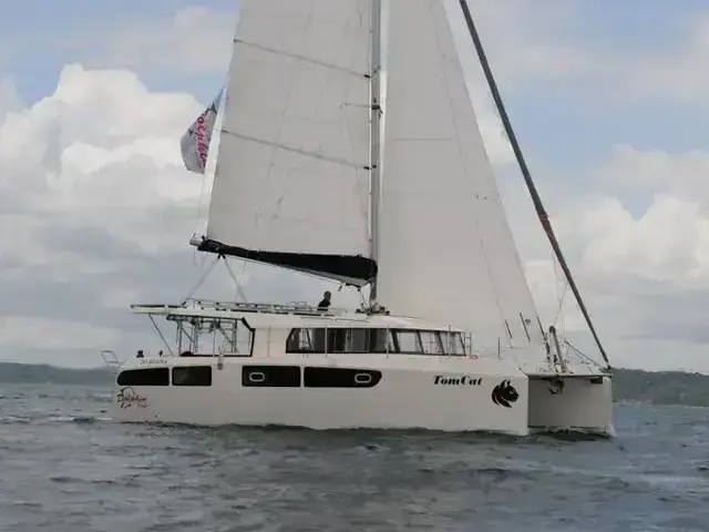 Dolphin 380