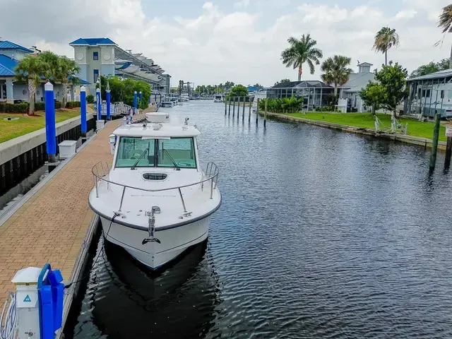 Boston Whaler 31'