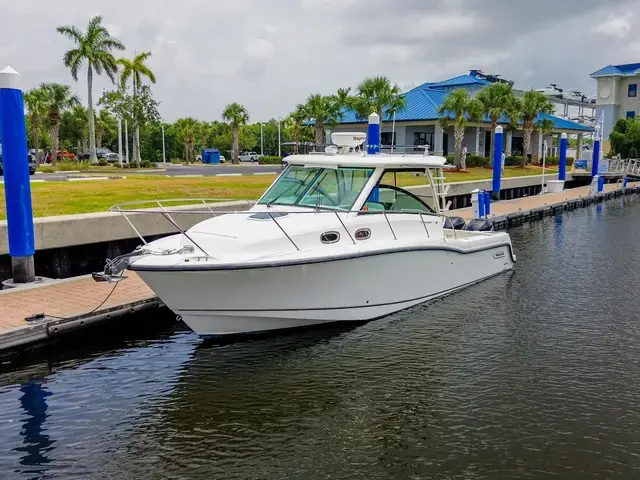 Boston Whaler 31'