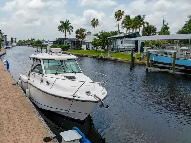 Boston Whaler 31'